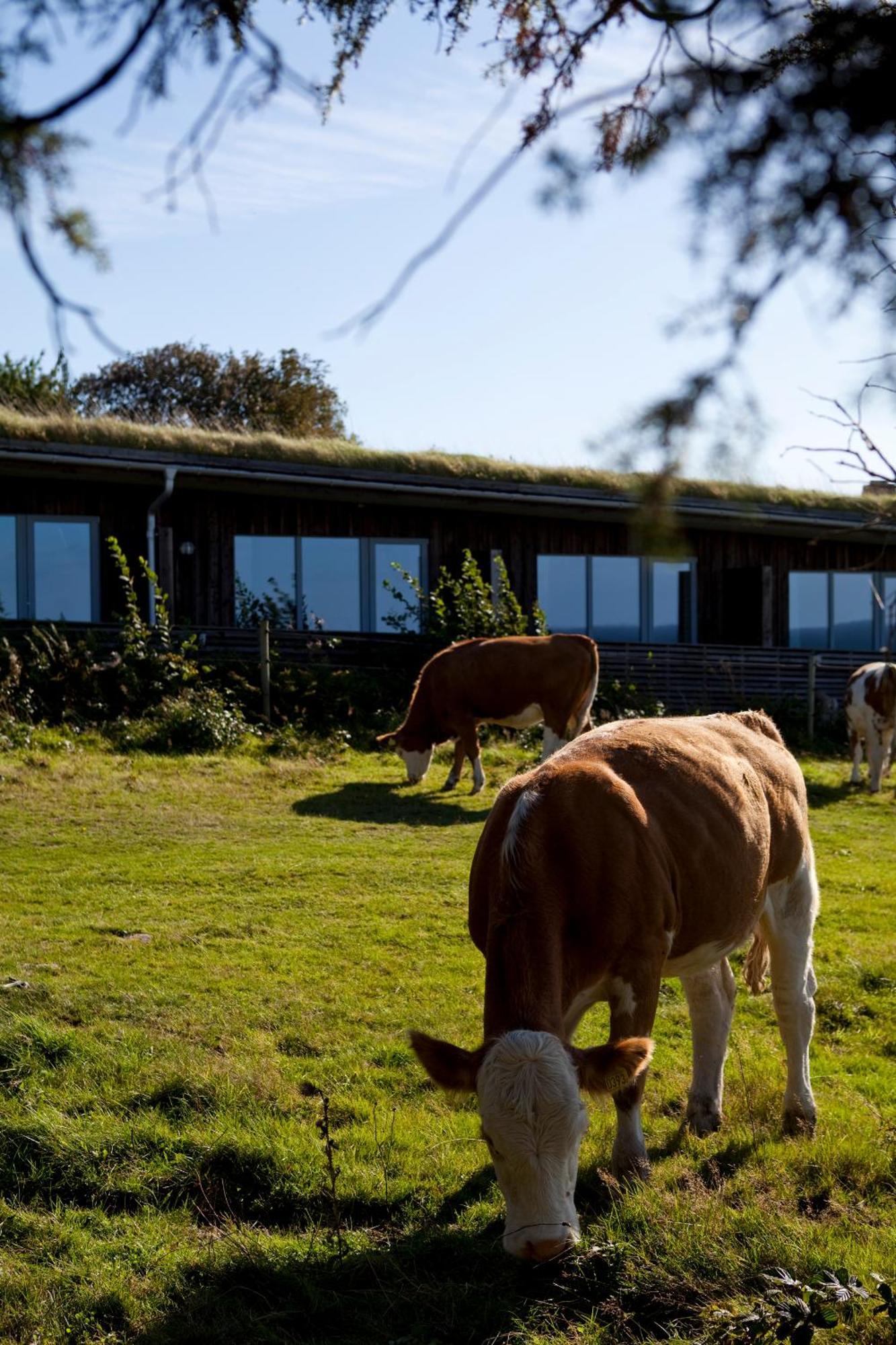 Hotell Och Restaurang Hovs Hallar Båstad Zewnętrze zdjęcie